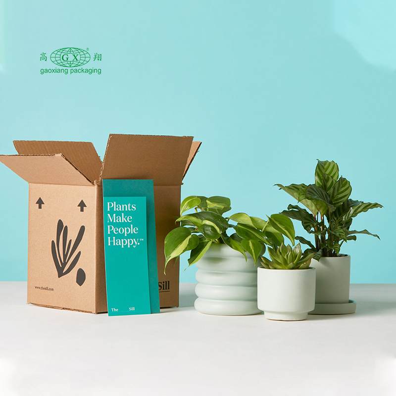 Artesanato de papelão plano ondulado personalizado caixas personalizadas plantas de presente embalagem de caixa de papel