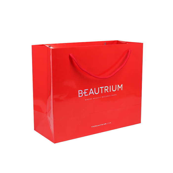 Sacos de compras de papel de vestuário de luxo personalizados com impressão de logotipo